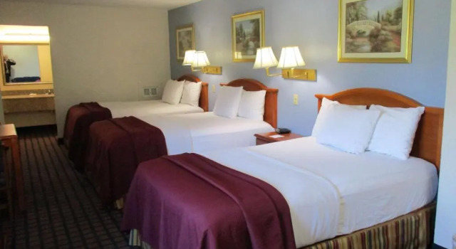 Семейный номер Standard Best Western Palestine Inn