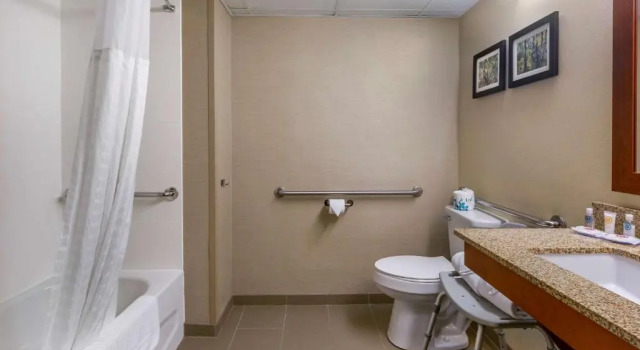 Номер Standard Comfort Inn & Suites near Danville Mall