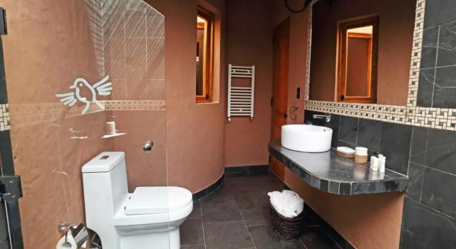 Номер Standard Hotel Pascual Andino