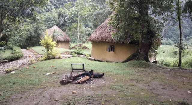Nshongi Forest Camp