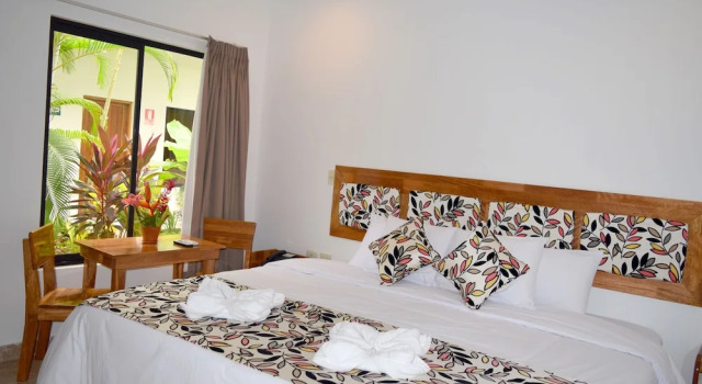 Номер Standard Hotel Jungle House