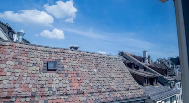 Студия Hotel & Backpackers Zak Schaffhausen