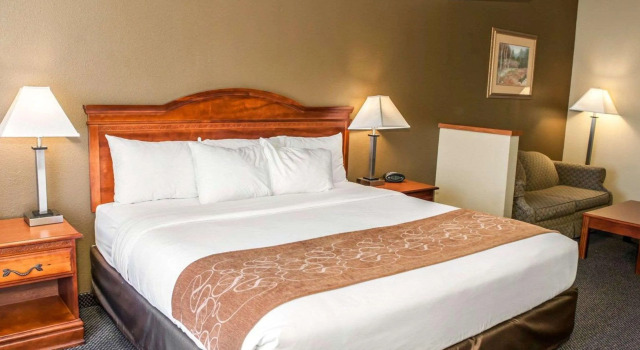 Comfort Suites Auburn near I-69, Prenota Hotel Hotel a Indiana con piscina, Piscina