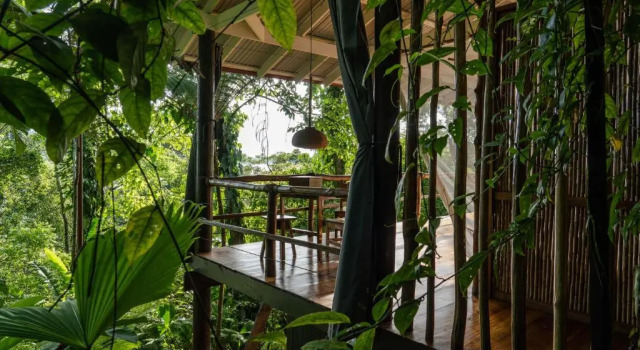 Семейное бунгало La Loma Jungle Lodge