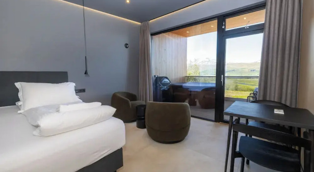 Двухместная студия Deluxe North Mountain View Suites