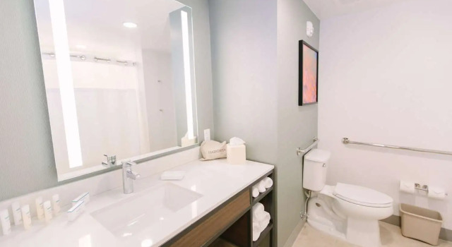 Номер Standard Hilton Garden Inn Winter Park, FL