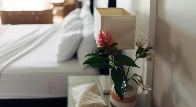 Полулюкс с частичным видом Villa Hibiscus sur la plage de Boucan-Canot