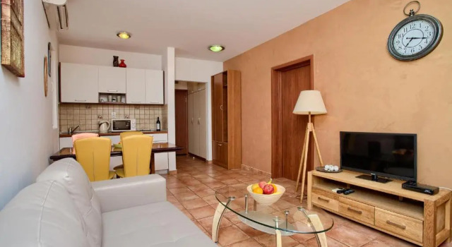 Апартаменты c 1 комнатой с видом на море Apartments Ivanović