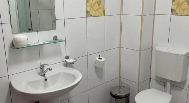 Номер Standard Pensiunea Viitorul