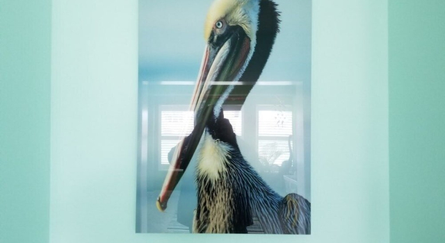 Rusty Pelican Home, Rezerwuj Hotel Flagler Beach Floryda