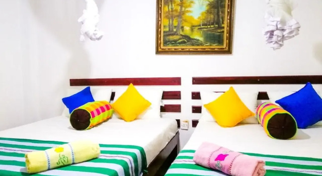 Номер Deluxe White Guest