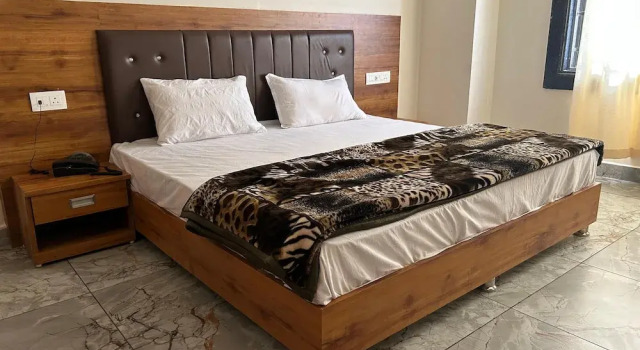 Номер Deluxe The Rajputana Palace