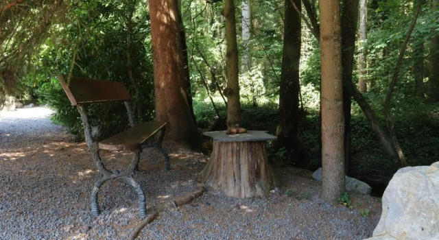 Коттедж Bio-Ferienhaus-Eifel