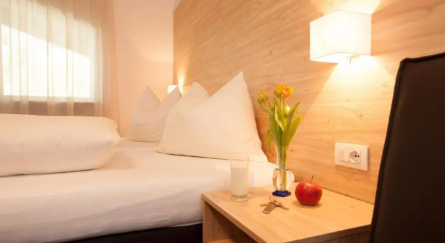 Двухместный номер Standard с видом на горы Hotel Stifter