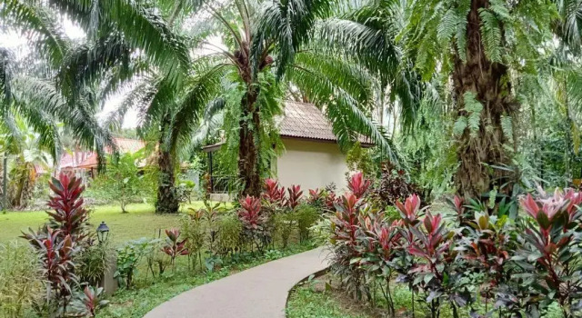 Бунгало Khao Sok Palm Garden Resort