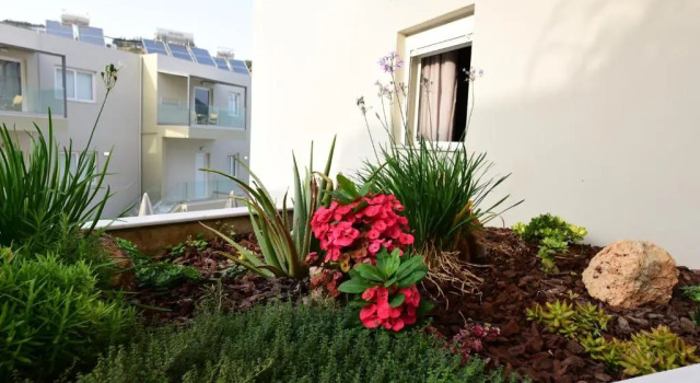 Апартаменты Blue Horizon Apartments