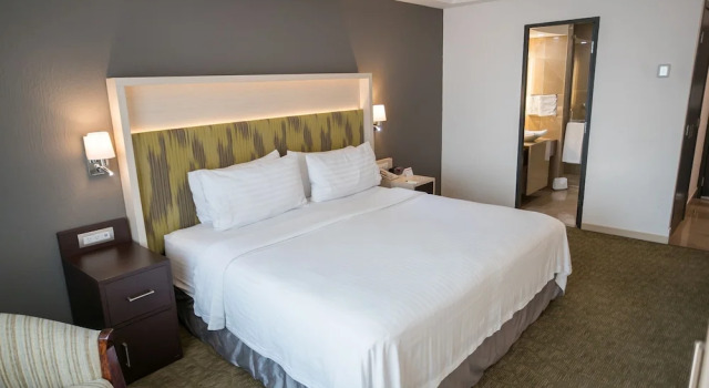 Номер Premium Holiday Inn Queretaro Zona Diamante by IHG