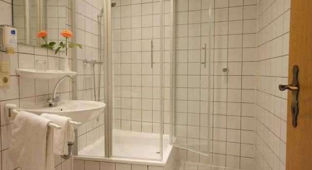 Одноместный номер Standard Hotel am Luisenplatz