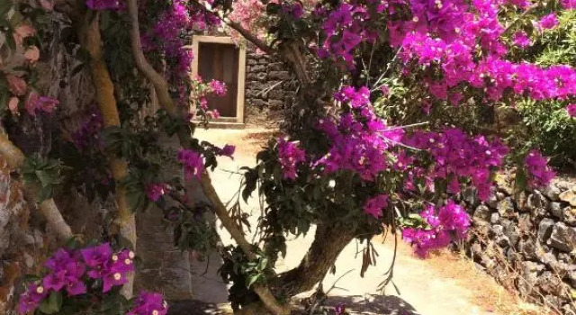 2 Gatti - Sogno, Buchen Sie Hotel Pantelleria Pantelleria