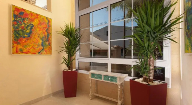 Pinos Altos 10