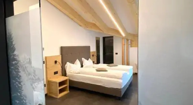 Люкс с балконом Hotel Chalet Alaska