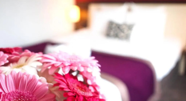 Двухместный номер Privilege Mercure Angers Centre Gare