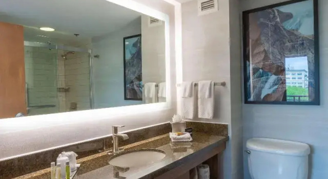 Двухместный номер Standard с видом на город DoubleTree by Hilton Bay City - Riverfront