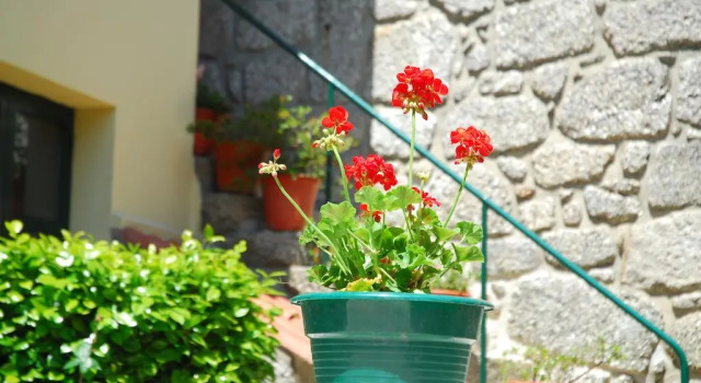 Casa Poula