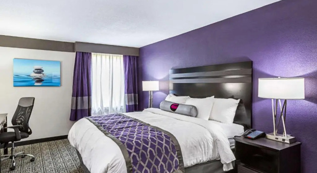 Номер Standard Spark by Hilton Knoxville North I-75