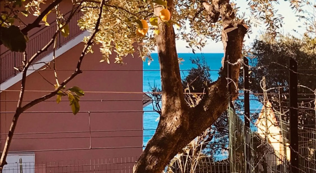 Happy House Bogliasco