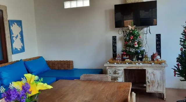 Turtle Island Homestay, Boek Hotel Goedkope hotels in Bali