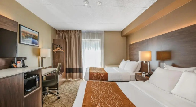 Четырёхместный номер Standard Цокольный этаж Comfort Inn