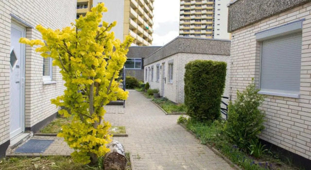 Panoramic Hohegeiß App 646 mit WLan, Забронировать Апартаменты/квартира Апартаменты Хоегайс, Апартаменты/квартира