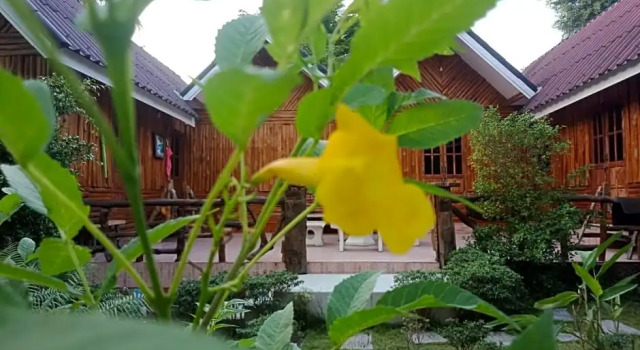 Nonkan  Homestay, Rezervați Hotel Sai Yok Sai Yok National Park