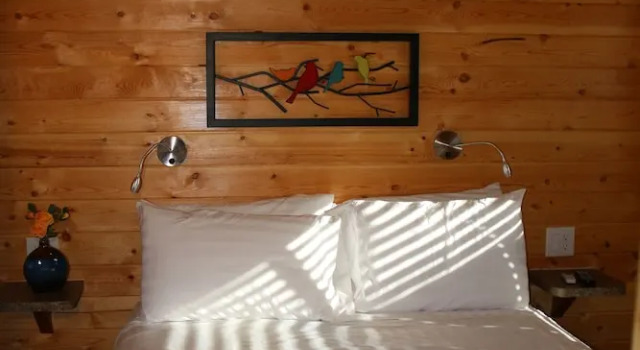 Apartament Holbrook KOA