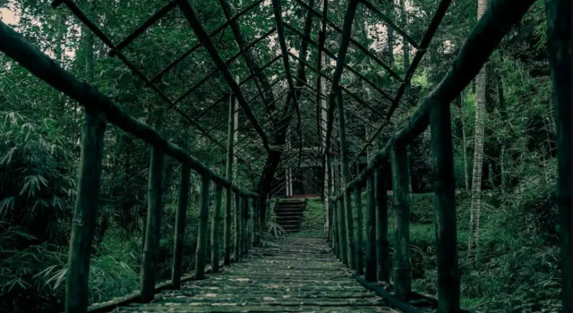 Wayanad Timber Creek Resort, Забронировать Курортный отель Курортные отели штата Кералы, Курортный отель