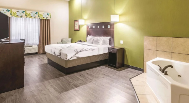 Двухместный номер La Quinta by Wyndham Dallas Grand Prairie South