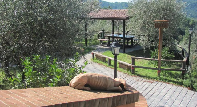 Апартаменты COLLEALCEPPO - RESIDENZA LE SORBE - Piscina panoramica 13 km dal mare