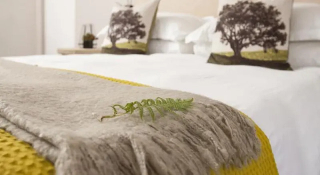 Двухместный номер Standard с балконом LAvenir Country Lodge