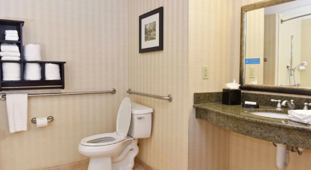 Четырёхместный номер Standard Hampton Inn & Suites Alexandria