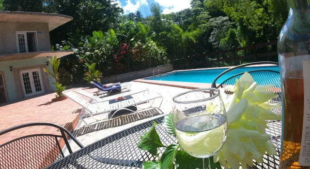 Club apartament cu vedere la piscină Toraille Waterfall Villas
