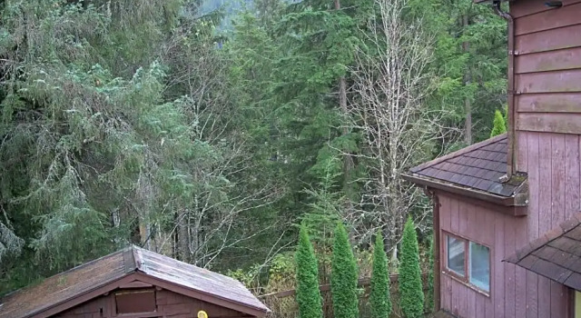 Двухместный люкс с балконом Tall Trees Bed & Breakfast