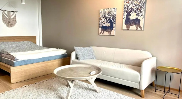 Апартаменты Deluxe Downtown Suite