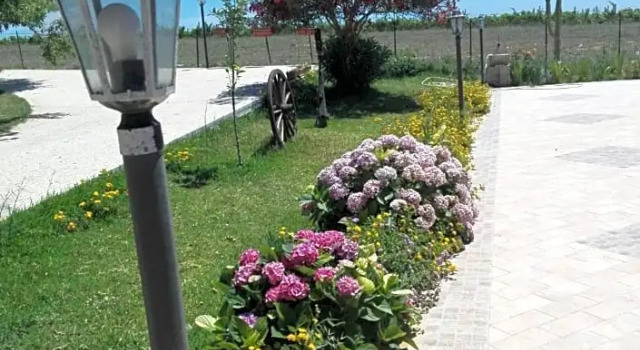 Il Poggetto Marzamemi B&B