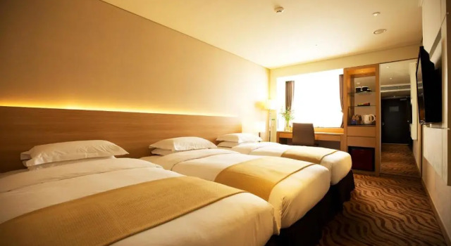 Трёхместный номер Deluxe Summit Hotel Seoul Dongdaemun
