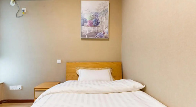 Апартаменты с 3 комнатами Shenzhen New Swan Castle Apartment