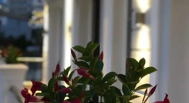 Номер Standard Poda Boutique Hotel Ksamil