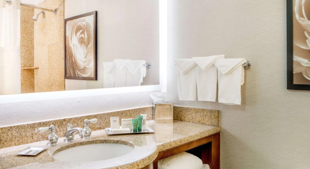 Двухместный номер Standard Hilton Wilmington/Christiana