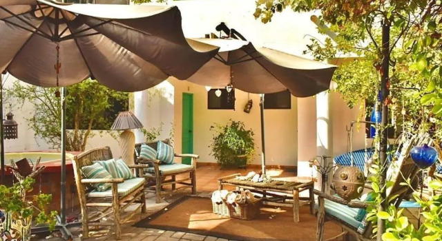 Номер Classic Baja Bed and Breakfast