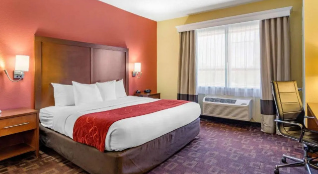 Люкс Spark by Hilton Houston near the Galleria